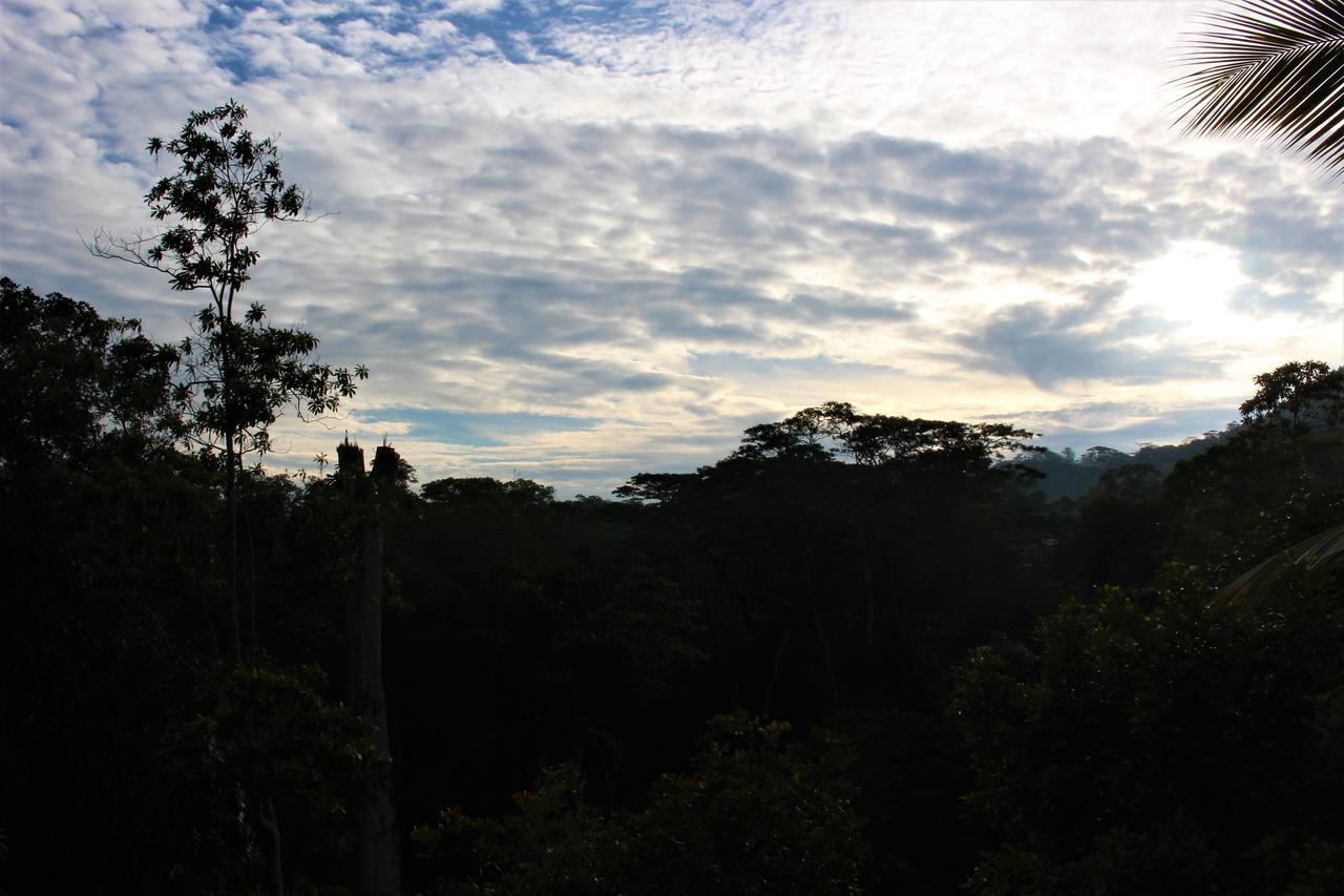 E-Stay Hanthana Kandy Bagian luar foto